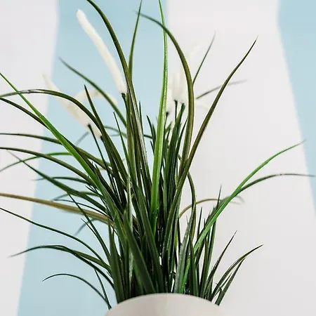 Mini With Balcony Apartment Sopot