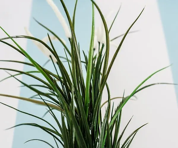 Mini With Balcony Apartment Sopot