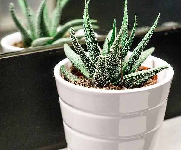 Mini With Balcony * Sopot